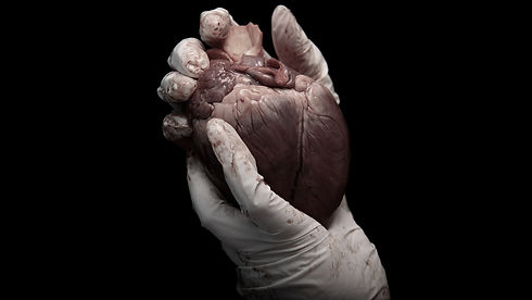 heart 1_edited.jpg